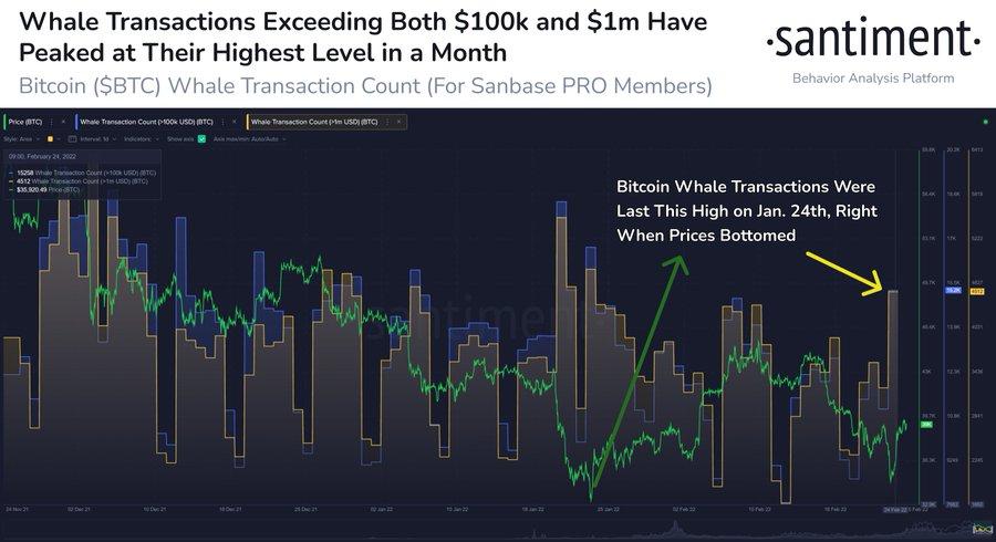bitcoin-balina.jpg