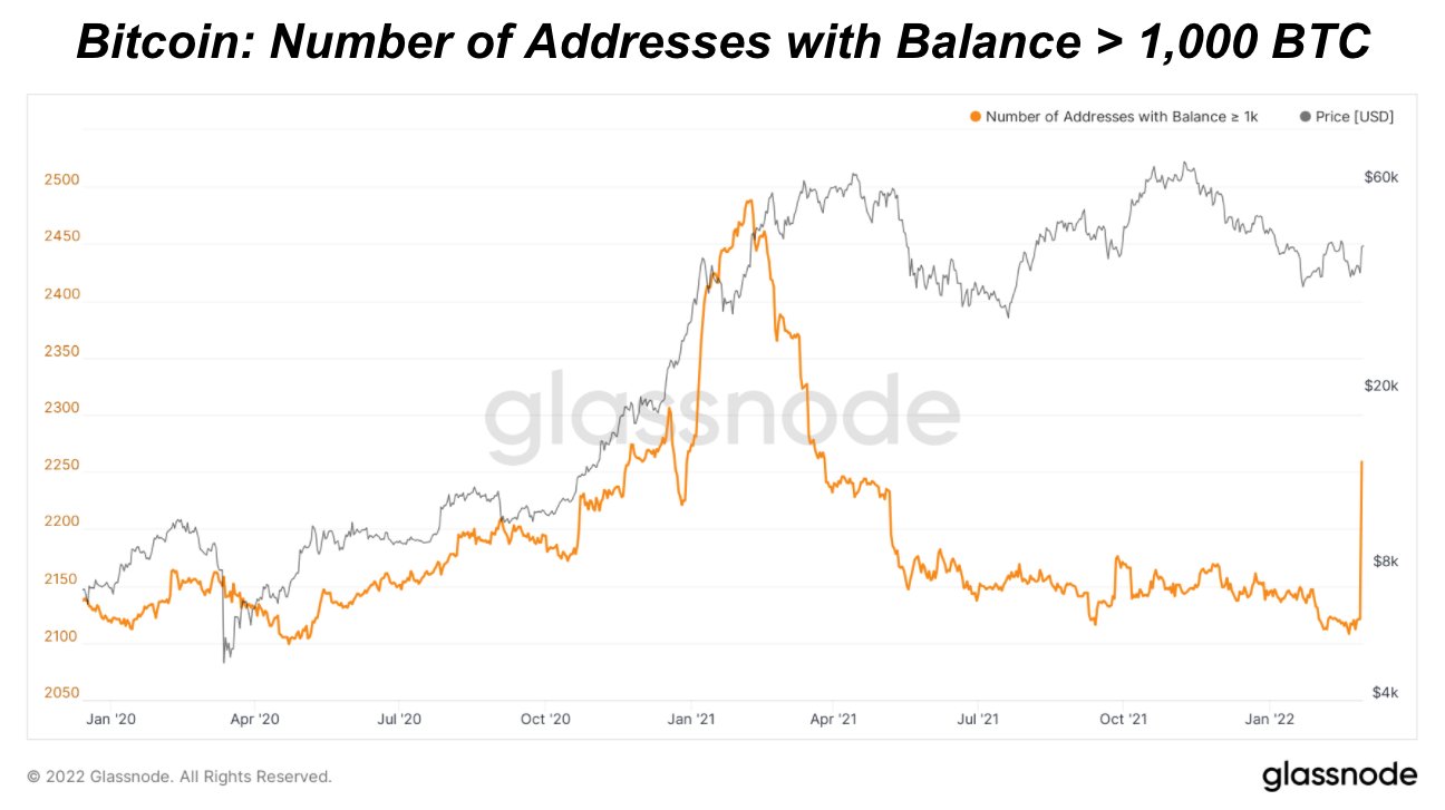 bitcoin-balina.jpeg